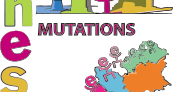 Mutations intra-académiques 2019 - Les réunions d'informations