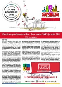 Journal académique n°413 - Spécial élections professsionnelles 2022