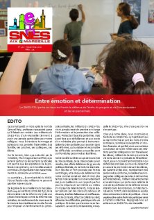 Journal académique n°402 - Emotion et détermination