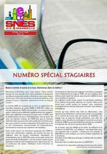 Journal Académique n°389 - Spécial Stagiaires 2018