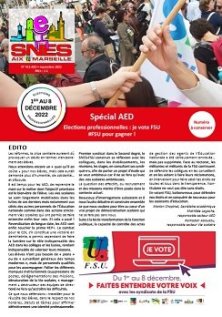 Journal académique n°413 supplément - Spécial AED