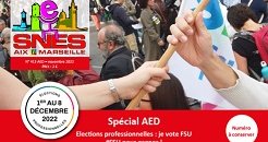 Journal académique n°413 supplément - Spécial AED