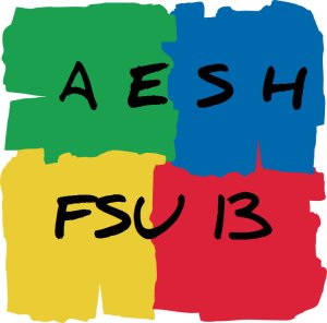 Audience à la DSDEN pour les AESH : qu'a fait le SNES-FSU ?