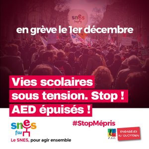 Dans l'action avec les AED et les vies scolaires : grève AED Mardi 19 (…)