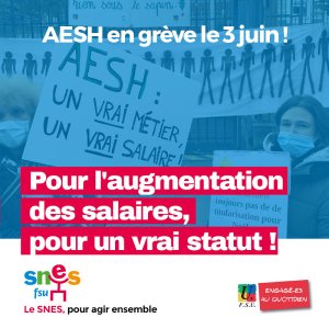 AESH : 3 juin : une mobilisation réussie qui en appelle d'autres !